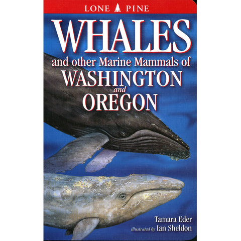 Whales & Other Marine Mammals of Wash. & Oregon