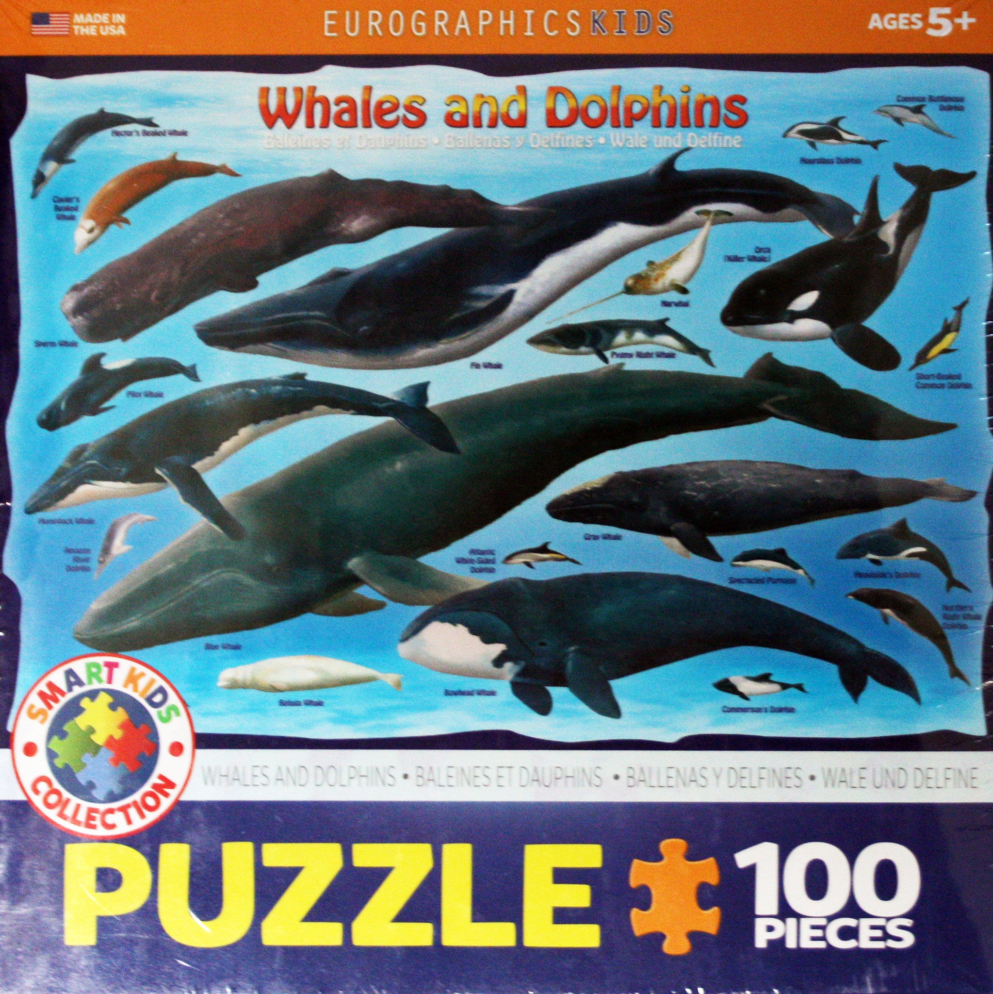 Whales & Dolphins Puzzle: 100 piece
