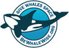 Whale Warning Flag - Be Whale Wise