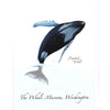 The Whale Museum Note Card Series