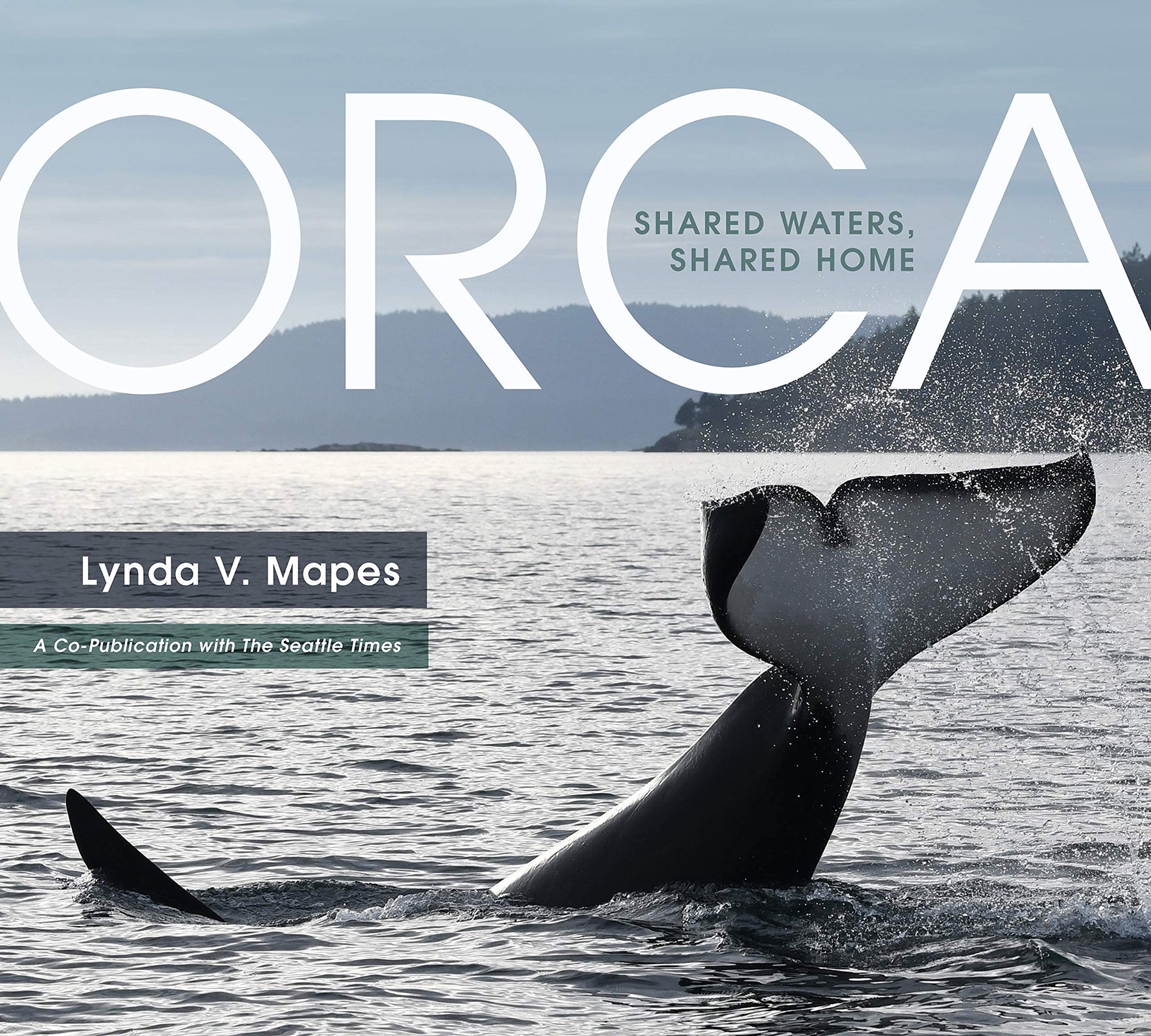 Orca: Shared Waters, Shared Home