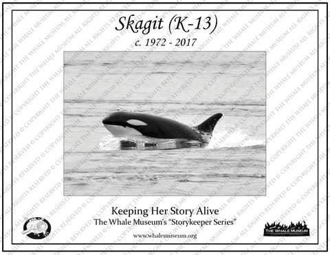Skagit (K-13) Storykeeper