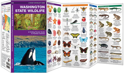 Washington State Wildlife Guide
