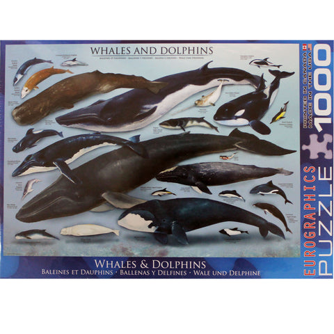 Whales & Dolphins Puzzle: 1000 piece