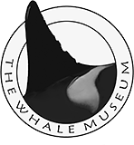 logo of The Whale Museum | Friday Harbor, Washington